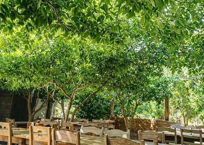 호텔 Ekincik Sayfiye *