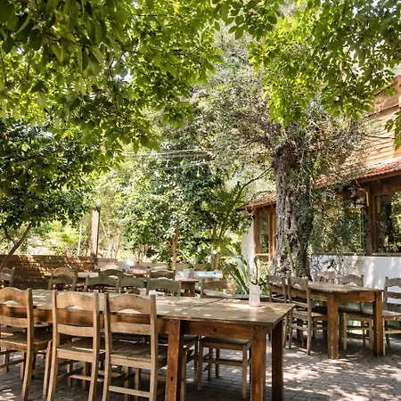 Ekincik Sayfiye Koycegiz (Mugla)